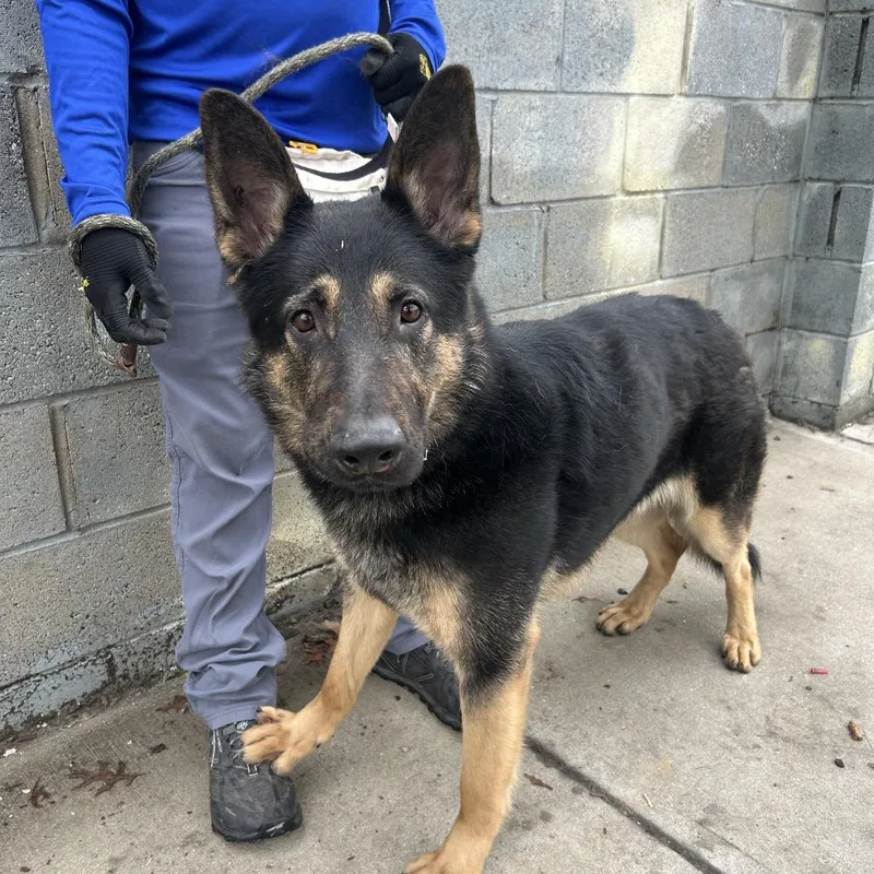 Hercules thumbnail 2