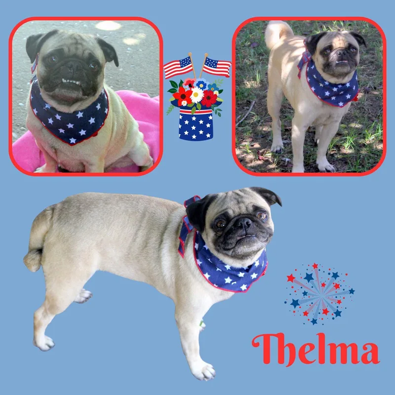 Thelma