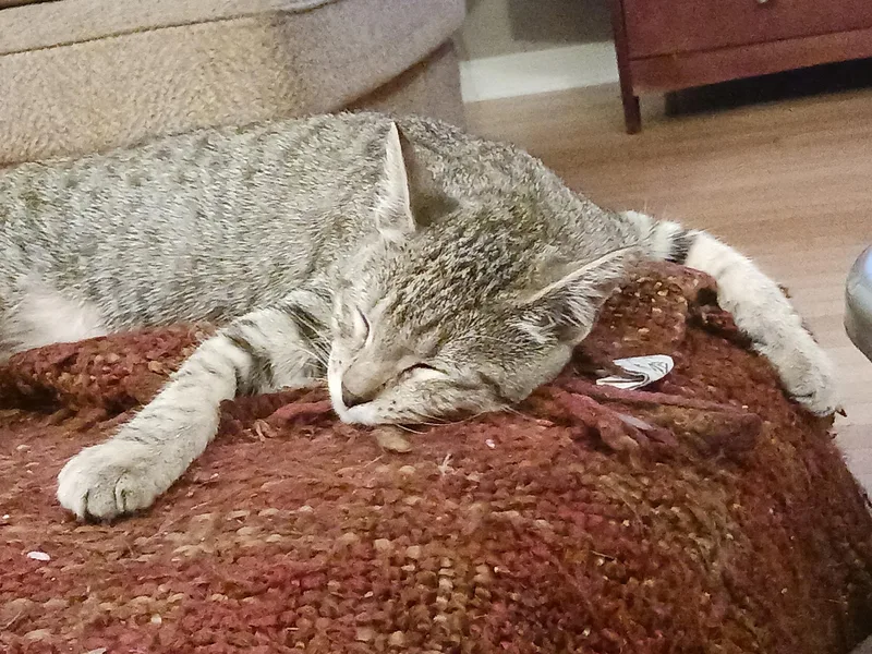 Benny