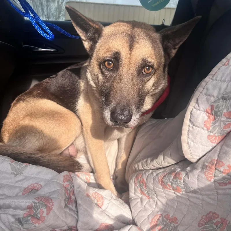 Gisselle Gs thumbnail 3