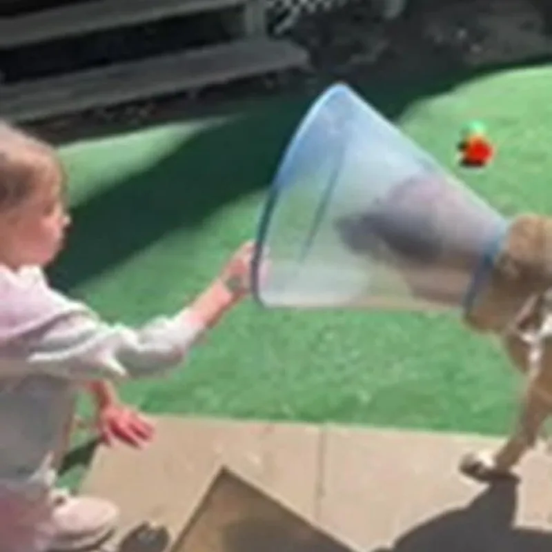 Gisselle Gs thumbnail 4