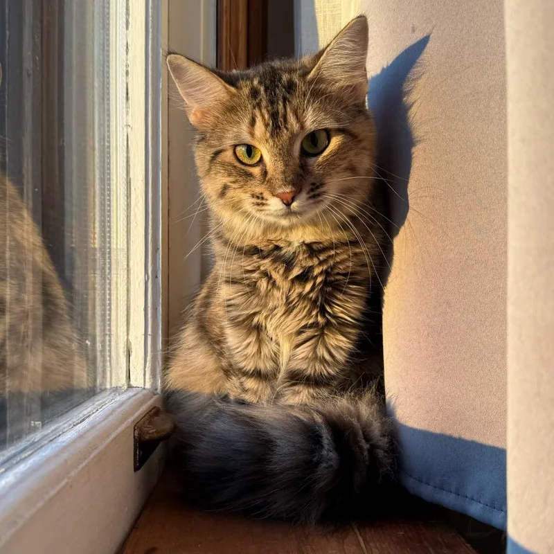Fifi La Floof thumbnail 5