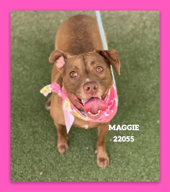 Maggie thumbnail 2