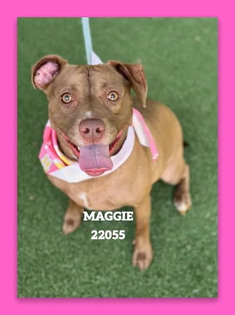 Maggie thumbnail 4