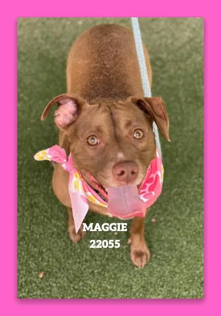 Maggie thumbnail 5
