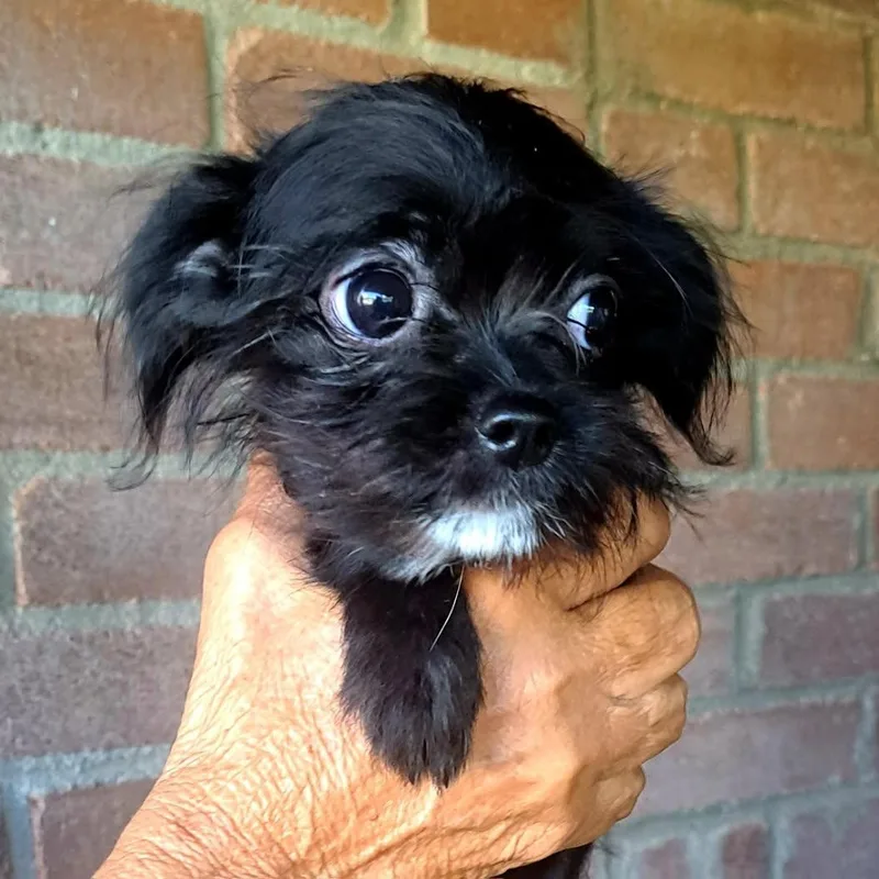 Marla thumbnail 2