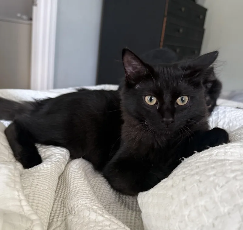Smooshy