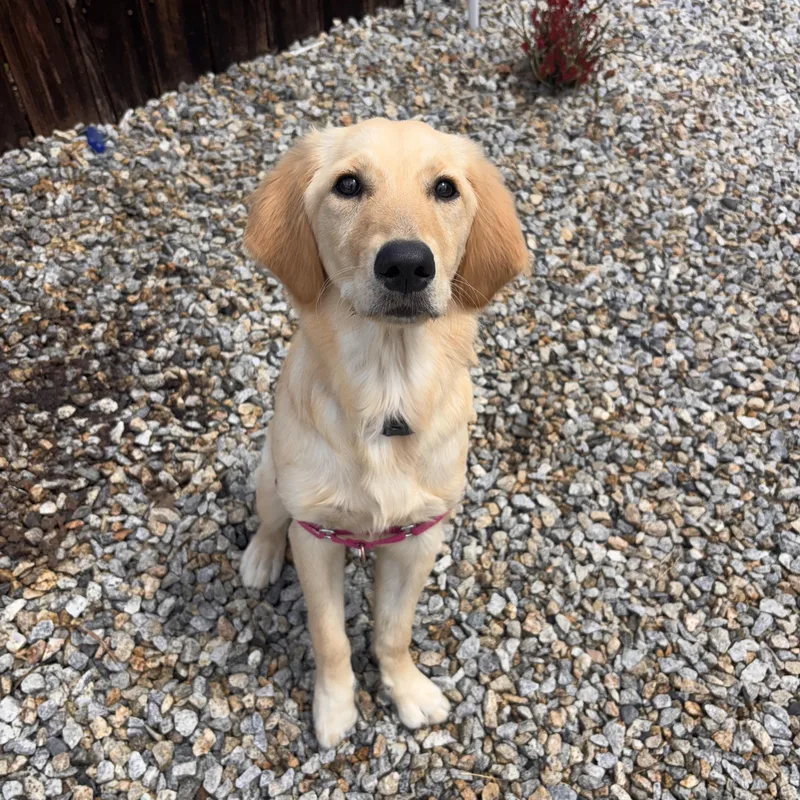 Ruby