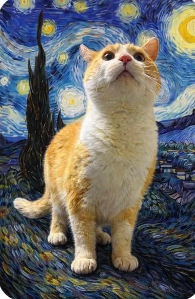 An adult large-sized male Orange & White Domestic Short Hair cat named Alani Popoki for adoption in Muncie, IN