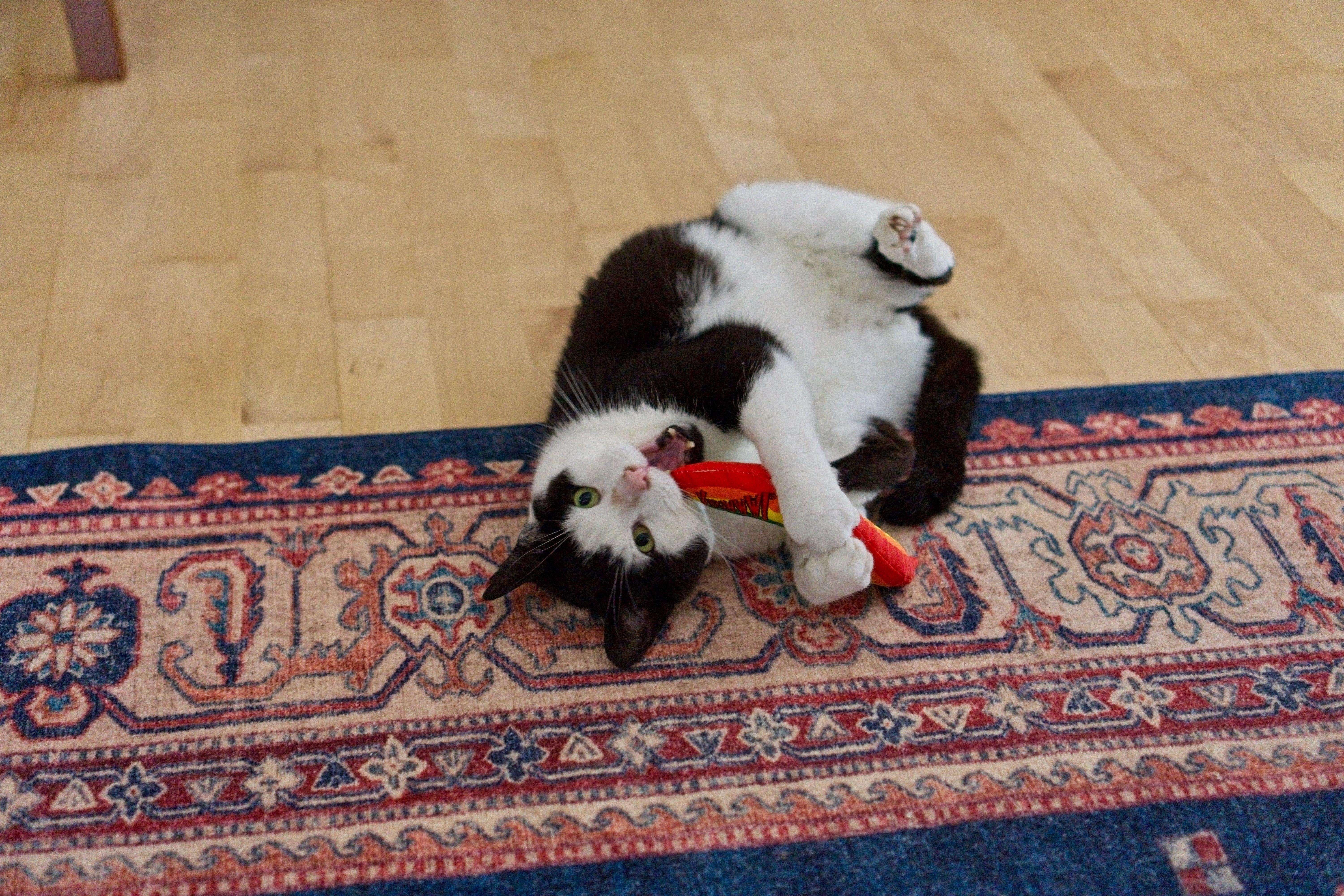 Joji Aka Joe thumbnail 4