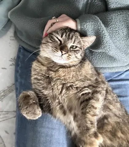 Fly Girl thumbnail 3