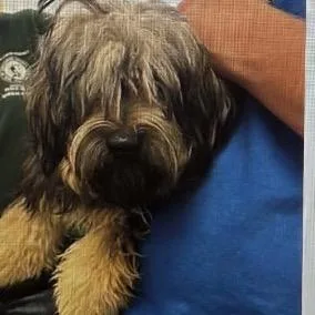 Wickett