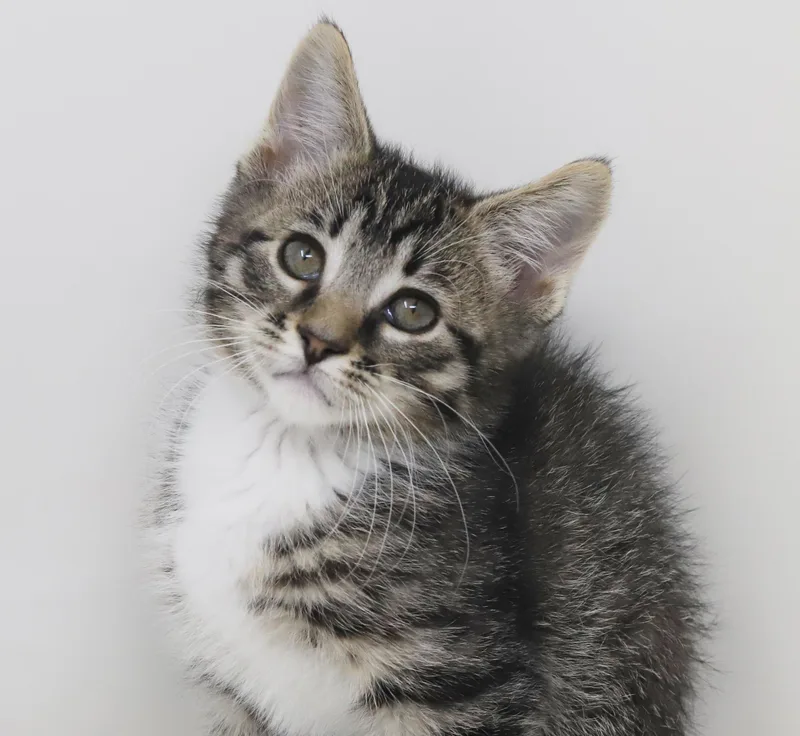 Greyson And Grant  thumbnail 3