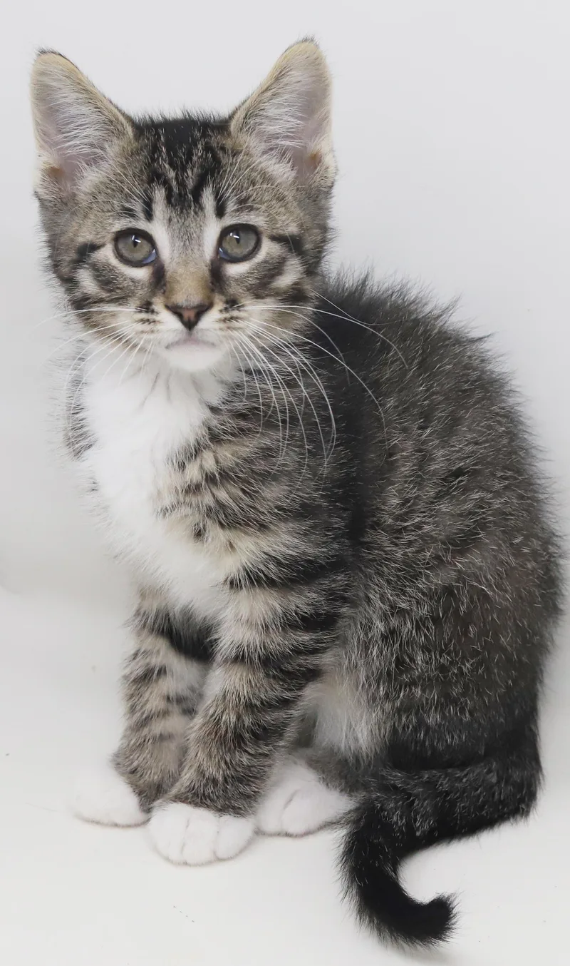 Greyson And Grant  thumbnail 4