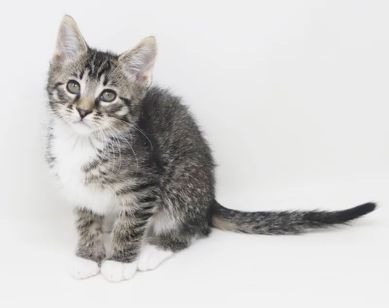 Greyson And Grant  thumbnail 5