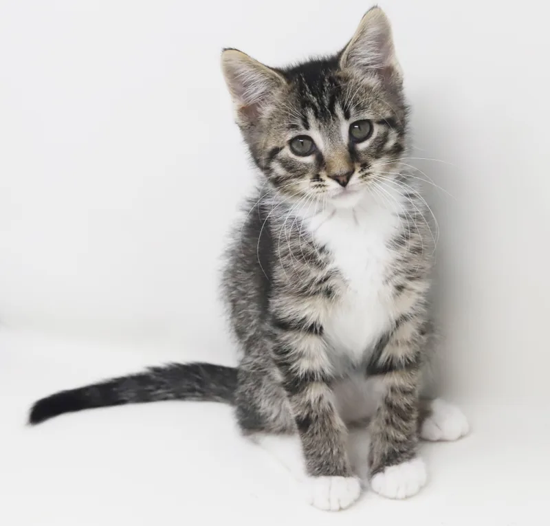 Greyson And Grant  thumbnail 6