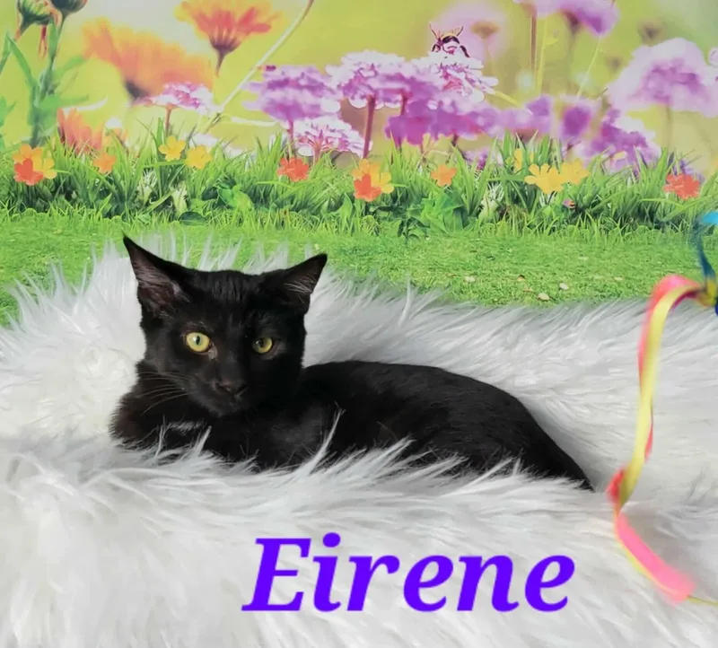 Eirene thumbnail 2