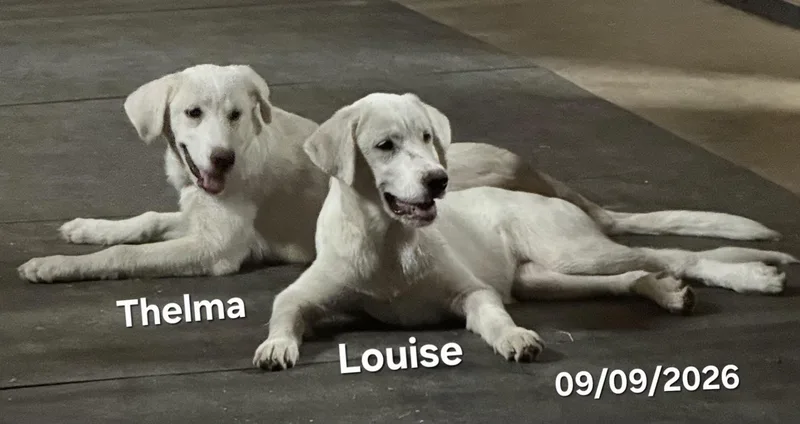 Louise thumbnail 5