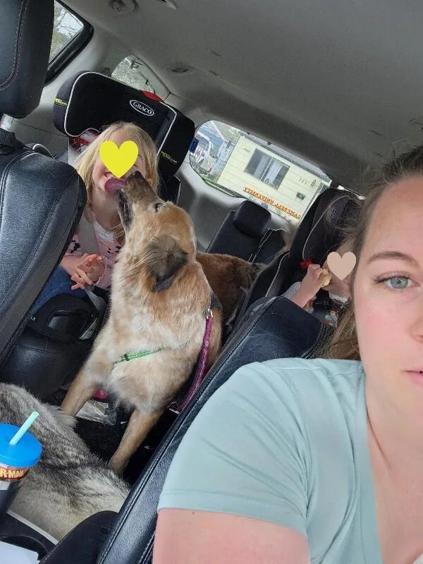 Honey Belle thumbnail 3