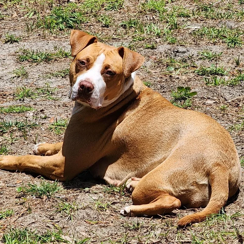 Penelope thumbnail 2