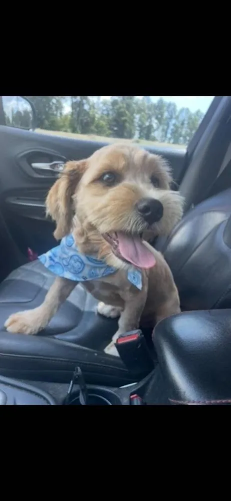 Odie Tzu