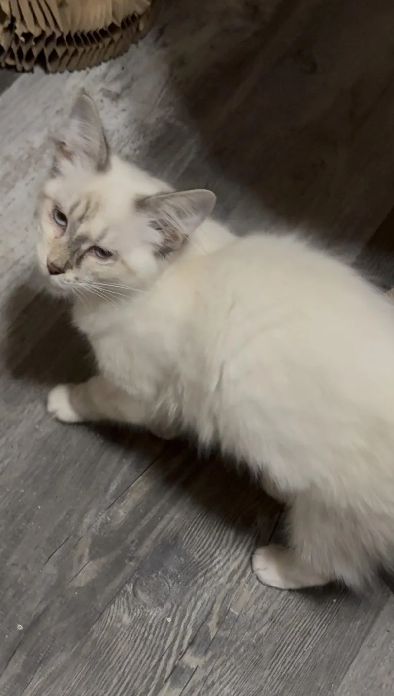 Winnie thumbnail 2