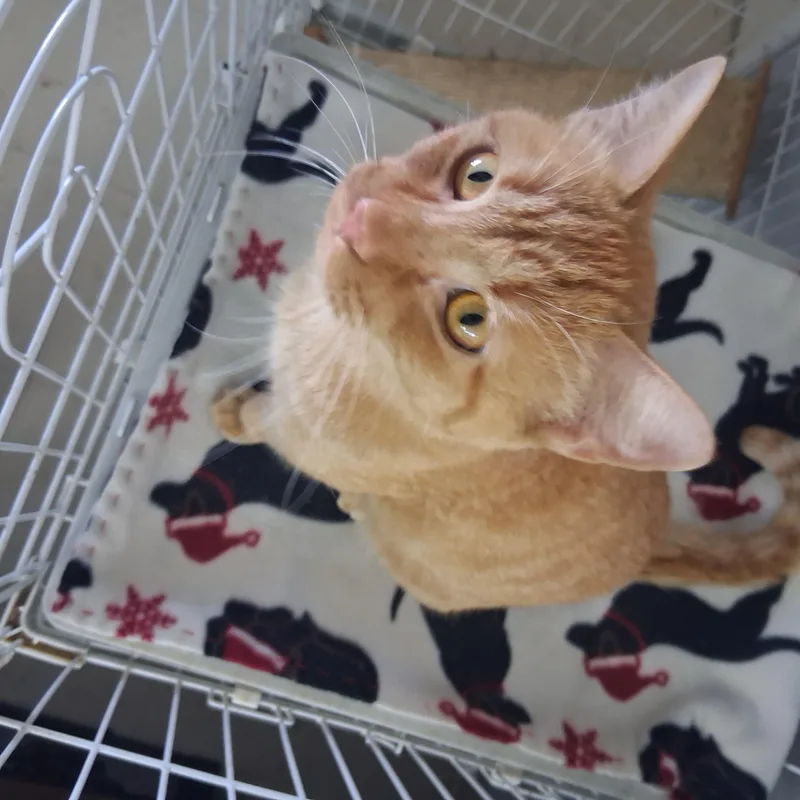 Freddie thumbnail 2