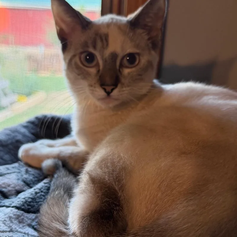 Ellie