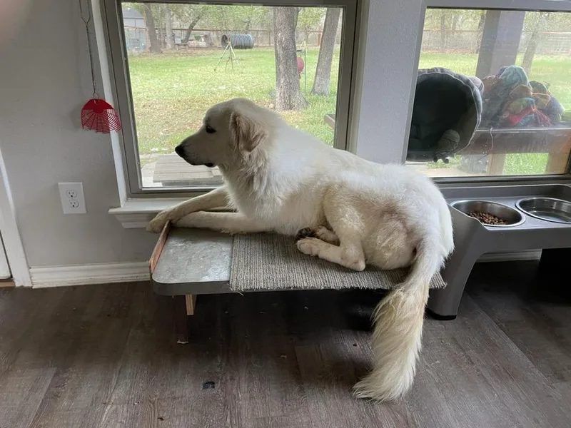 Waldo Sat thumbnail 3