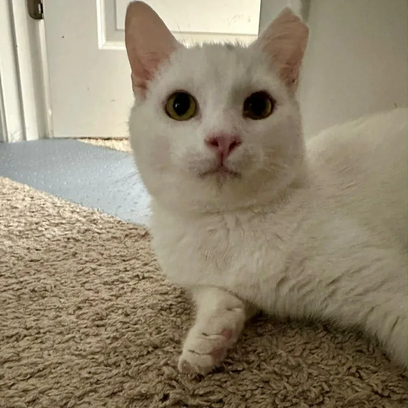 Taters Jonkers thumbnail 4