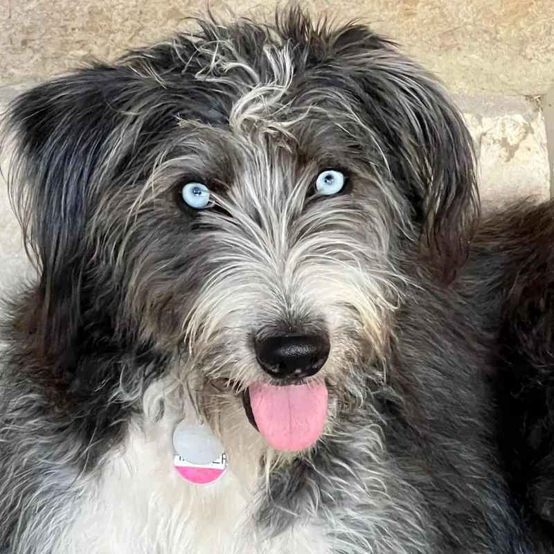 Harper Jane thumbnail 3