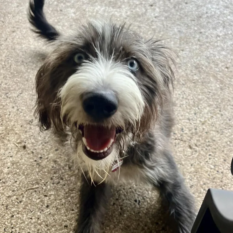 Harper Jane thumbnail 4