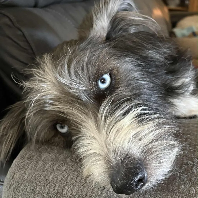 Harper Jane thumbnail 5