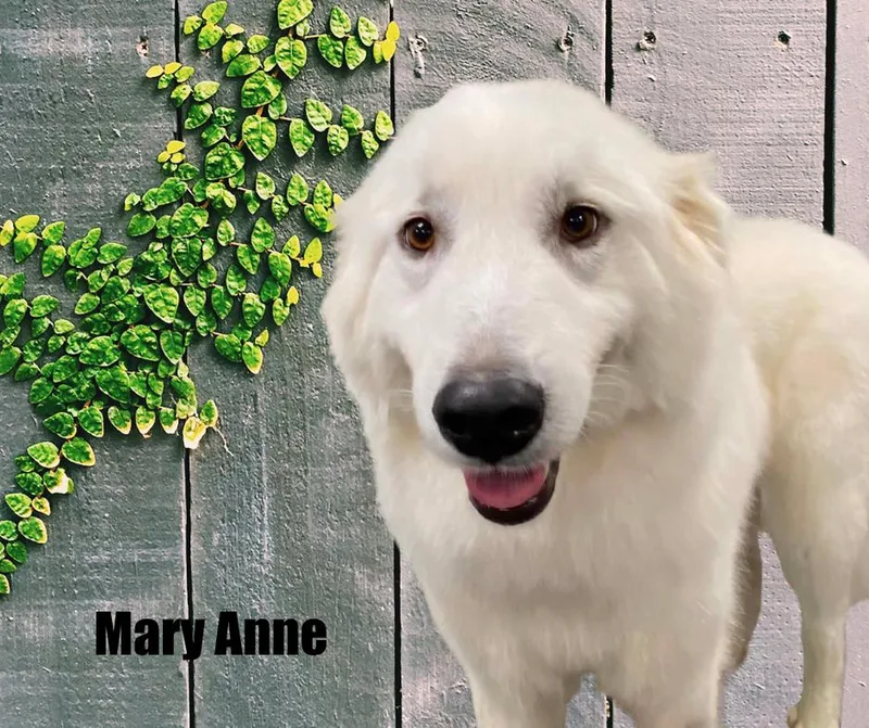 Mary Anne & Wanda thumbnail 2
