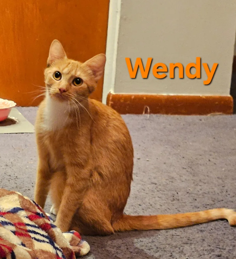 Wendy thumbnail 2