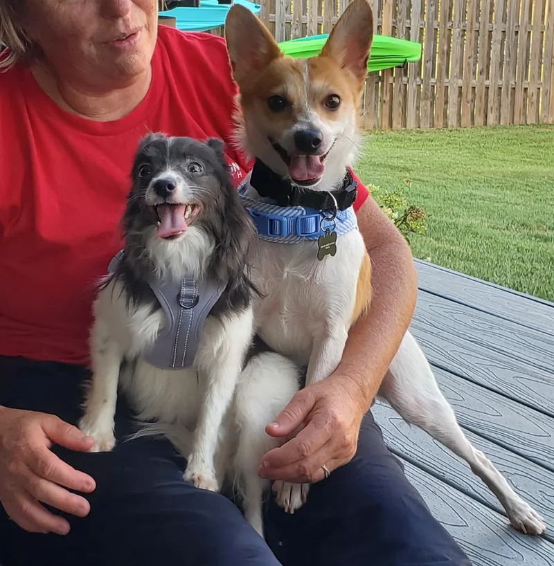 Poppy & Charlie Brown