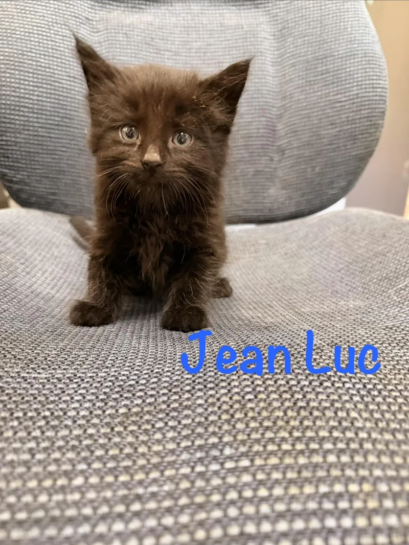 Jean Luc