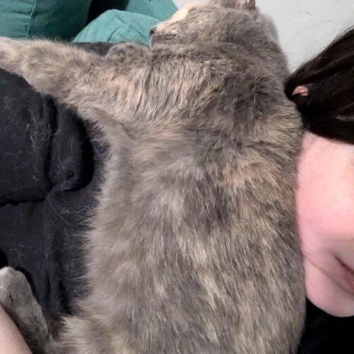 Triscuit thumbnail 3