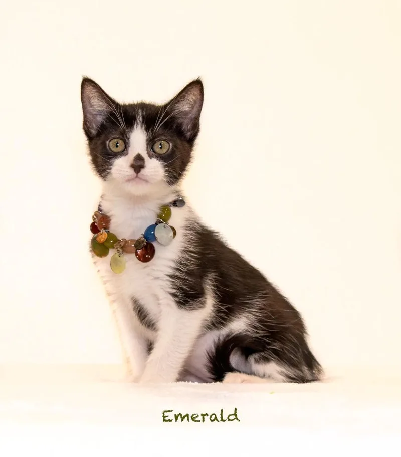 Emerald thumbnail 2