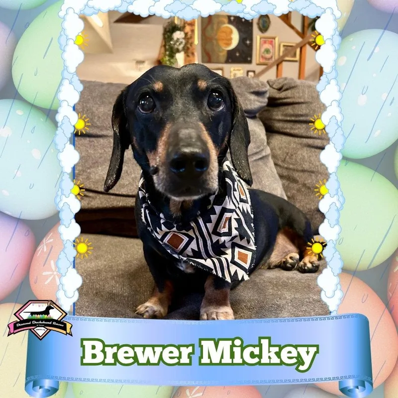 Brewer Mickey thumbnail 2