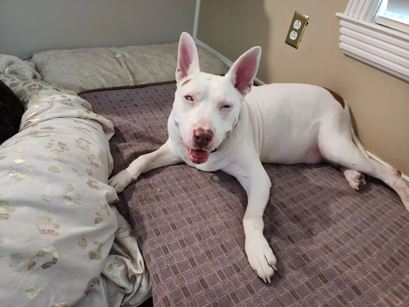 Daisy Mae thumbnail 3