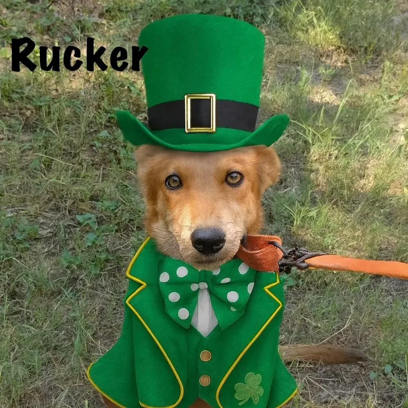 Rucker thumbnail 4