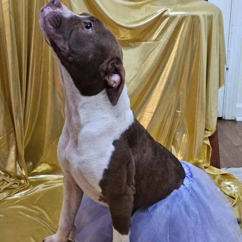 Willow Ember thumbnail 3