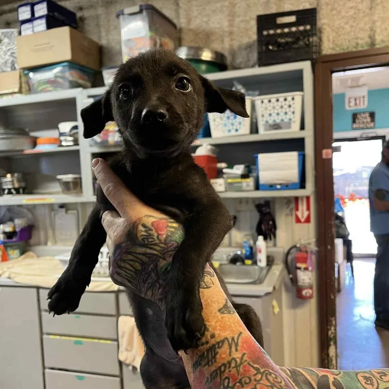 Jermaine thumbnail 2