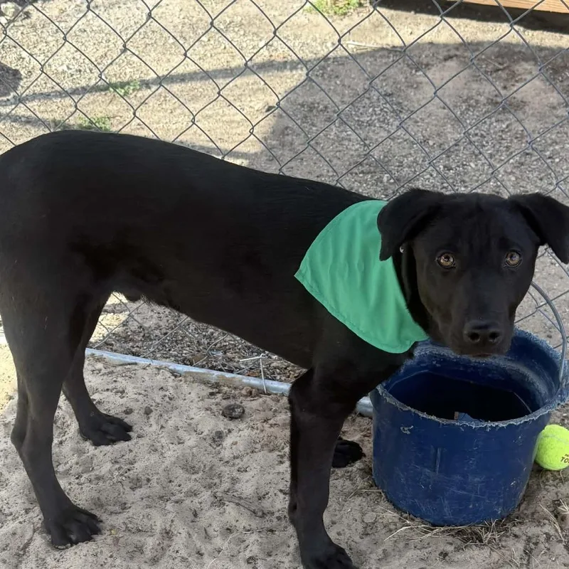 Jermaine thumbnail 4