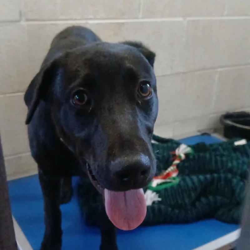 Jermaine thumbnail 5