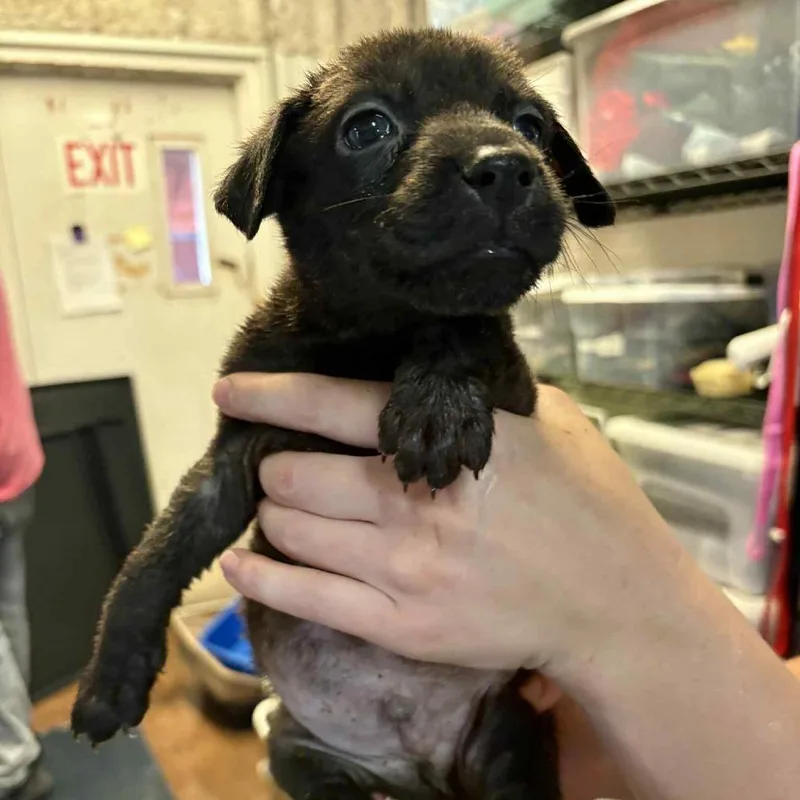 Jermaine thumbnail 6