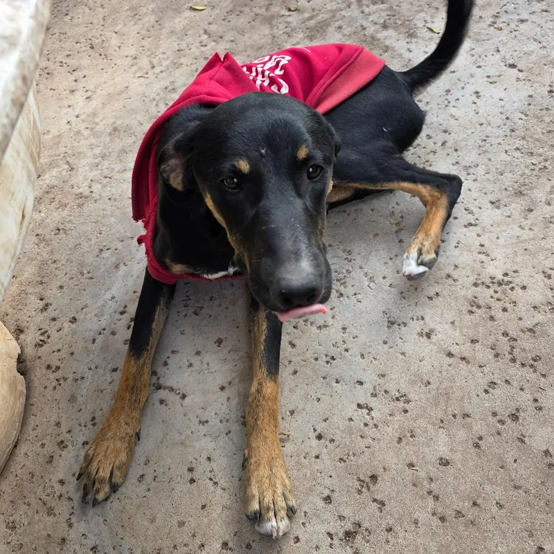 Destiney & Hope & thumbnail 2