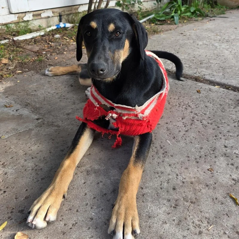 Destiney & Hope & thumbnail 3