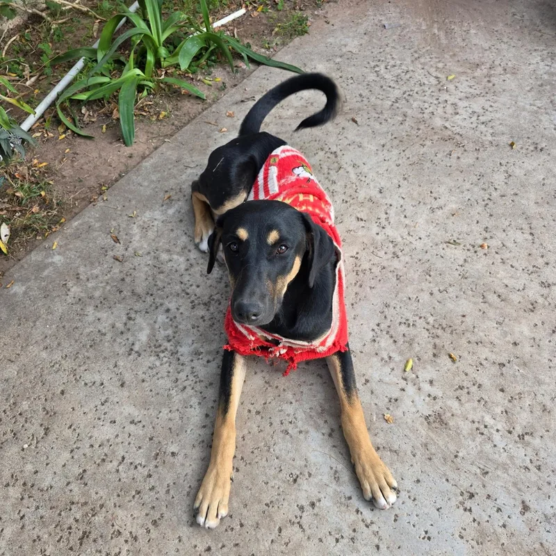 Destiney & Hope & thumbnail 4